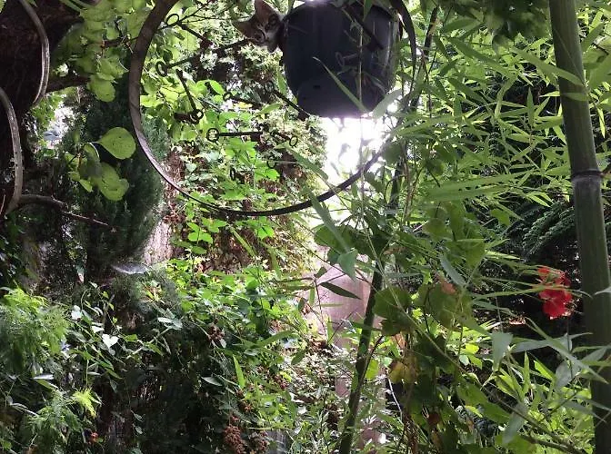 Appartamento Chez La Berthe Colmé *